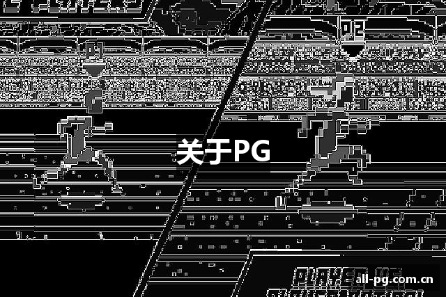 关于PG